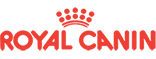 Ikona